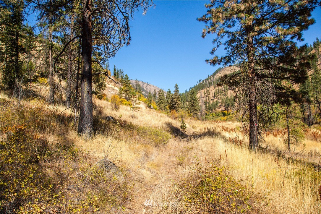 0 Olalla Canyon Road, Unit 2 Cashmere, WA 98815 - Photo 10 of 11 Gallery Image 10