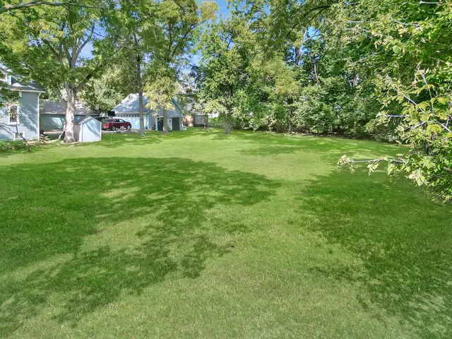 a view of a trees with a big yard