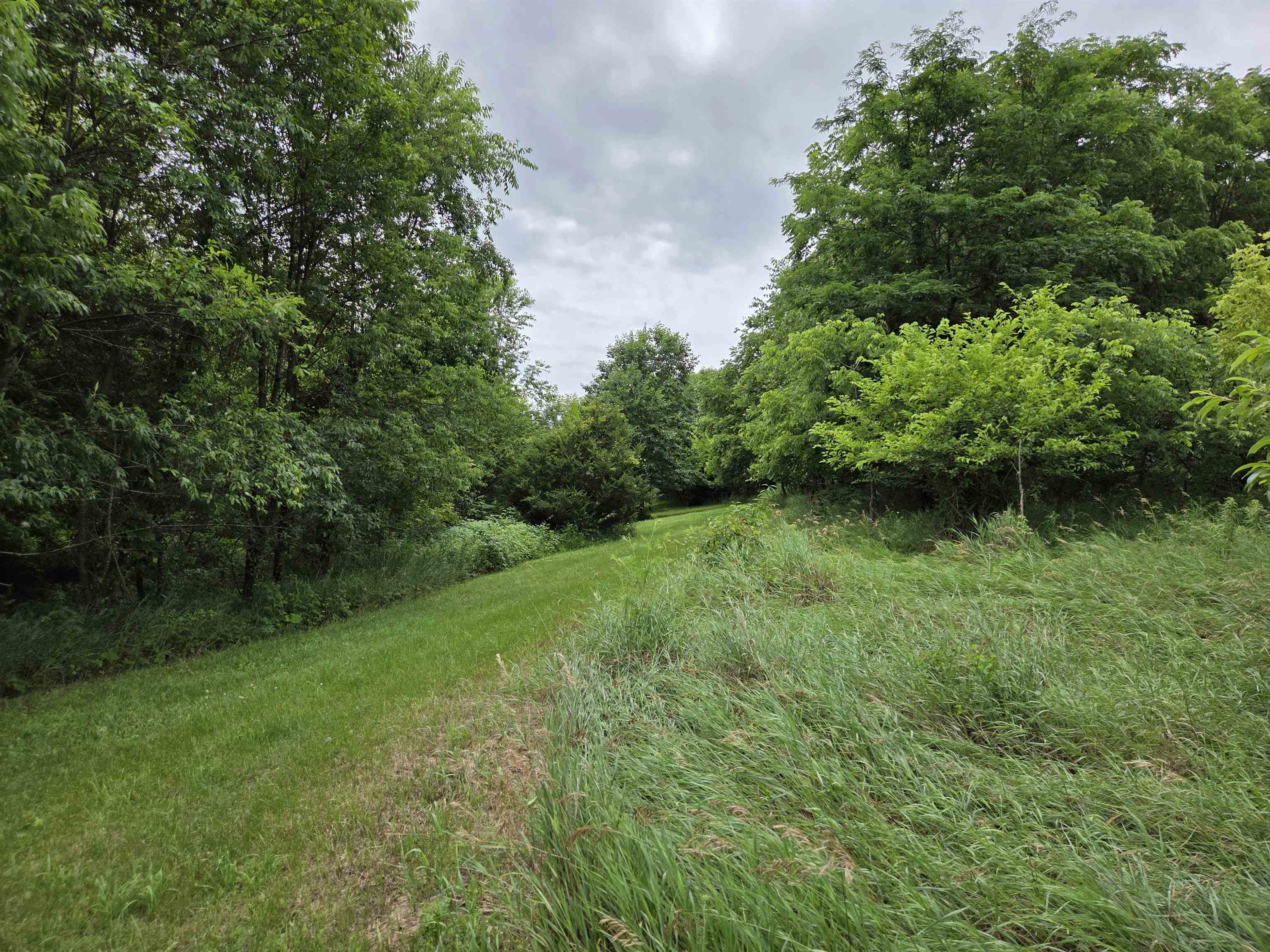 32747 State Highway Muscoda, WI 53573 - Photo 61 of 83