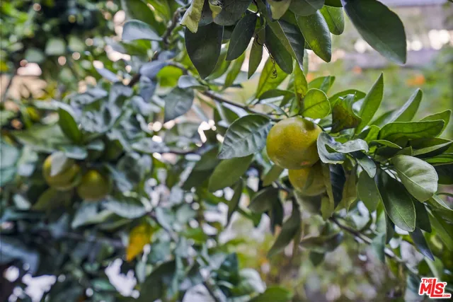 $825,000 | 330 Cordova Street, Unit 361, Pasadena, CA 91101