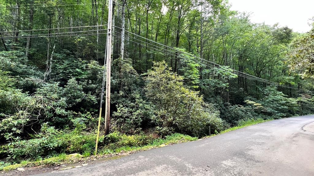 1213 Butler Branch Road Gatlinburg, TN 37738 - Photo 1 of 13