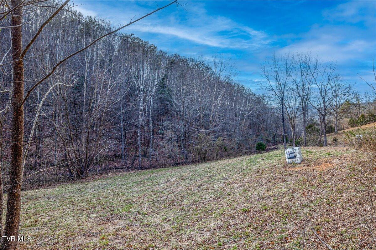 185 Manning Road Sneedville, TN 37869 - Photo 18 of 26 18-668 Manning Dr Ground-9
