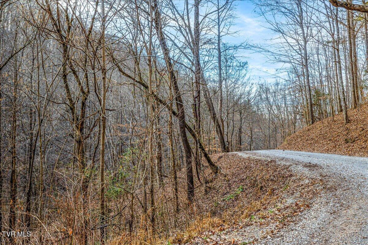 185 Manning Road Sneedville, TN 37869 - Photo 19 of 26 19-668 Manning Dr Ground-7