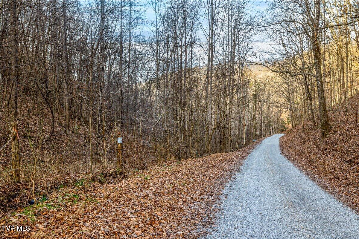 185 Manning Road Sneedville, TN 37869 - Photo 21 of 26 21-668 Manning Dr Ground-5