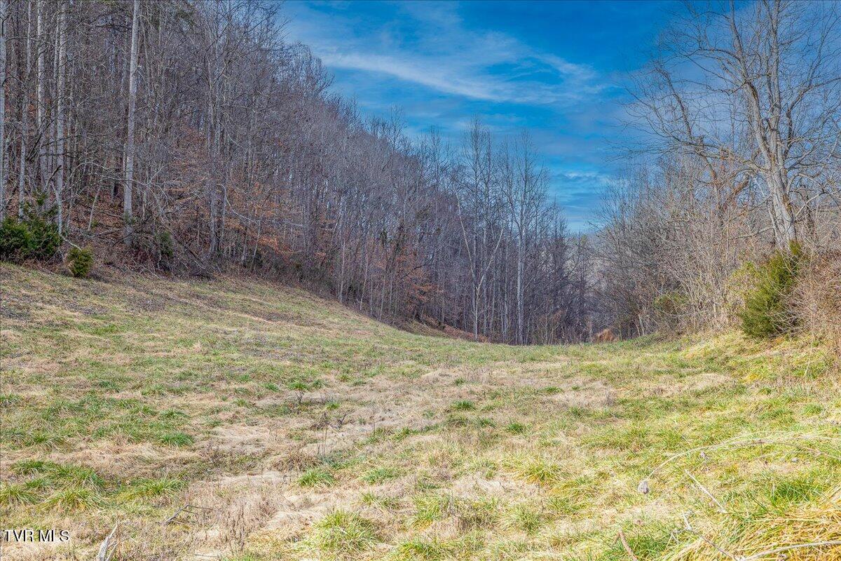 185 Manning Road Sneedville, TN 37869 - Photo 25 of 26 25-668 Manning Dr Ground