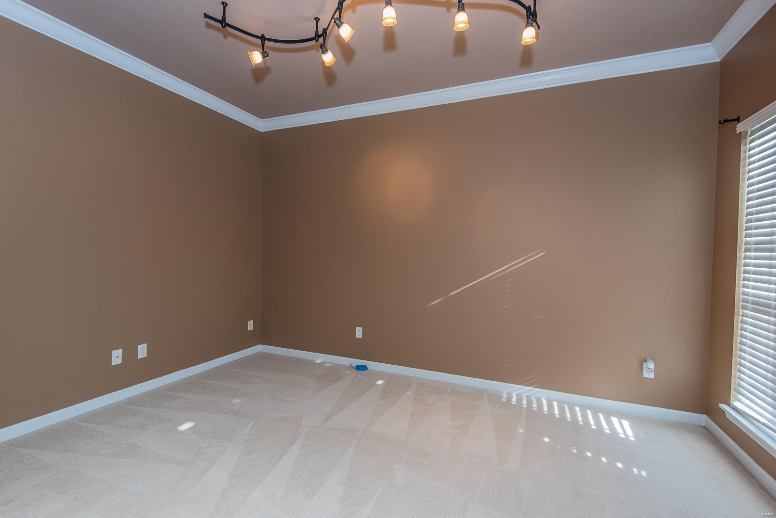 1219 Raintree Pass O'Fallon, MO 63366 - Photo 6 of 39