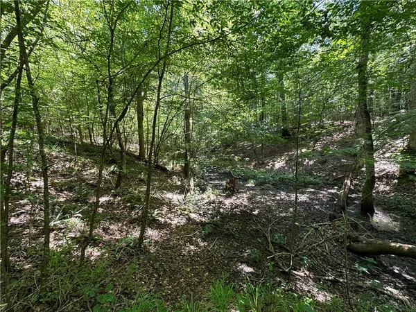 a view of outdoor space and covered with green space