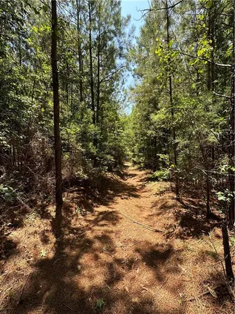 a view of outdoor space and trees