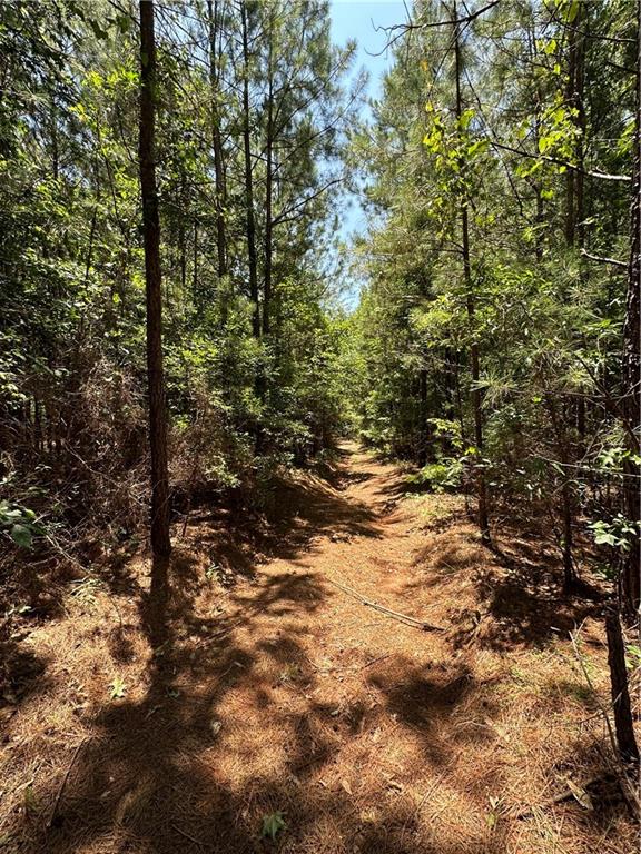 0 Rocky Point Road Covington, GA 30014 - Photo 2 of 11 a view of outdoor space and trees