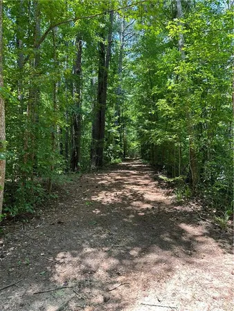 a view of outdoor space with lots of trees