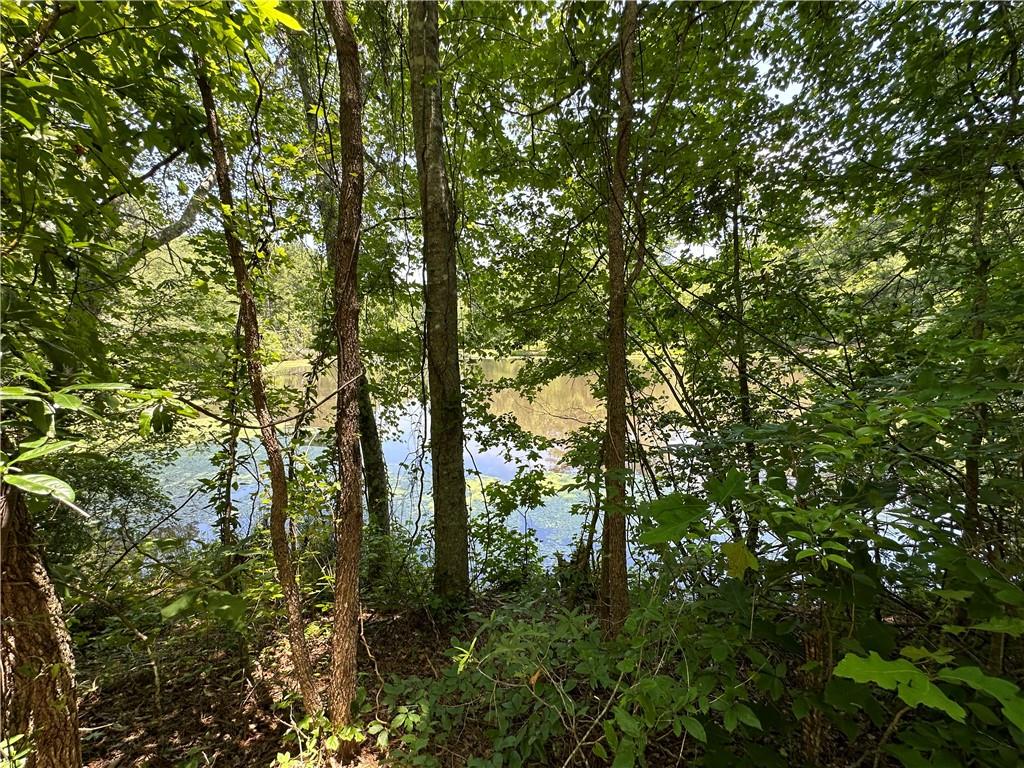 0 Rocky Point Road Covington, GA 30014 - Photo 5 of 11 a view of forest