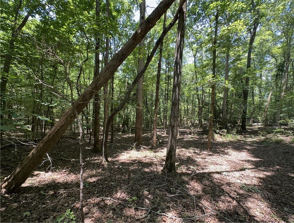 0 Rocky Point Road Covington, GA 30014 - Photo 7 of 11 a view of a forest filled with trees