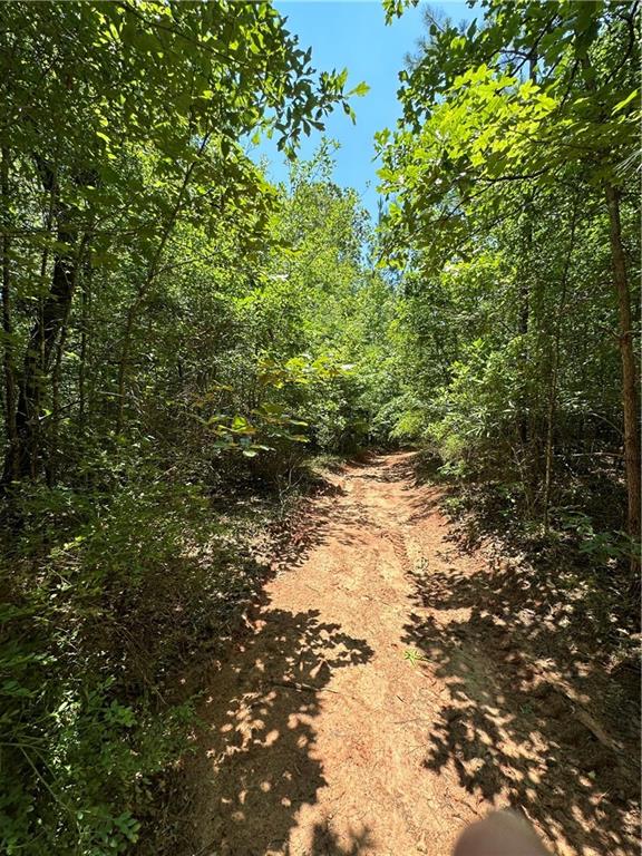 0 Rocky Point Road Covington, GA 30014 - Photo 10 of 11 a view of a yard with plants and large trees