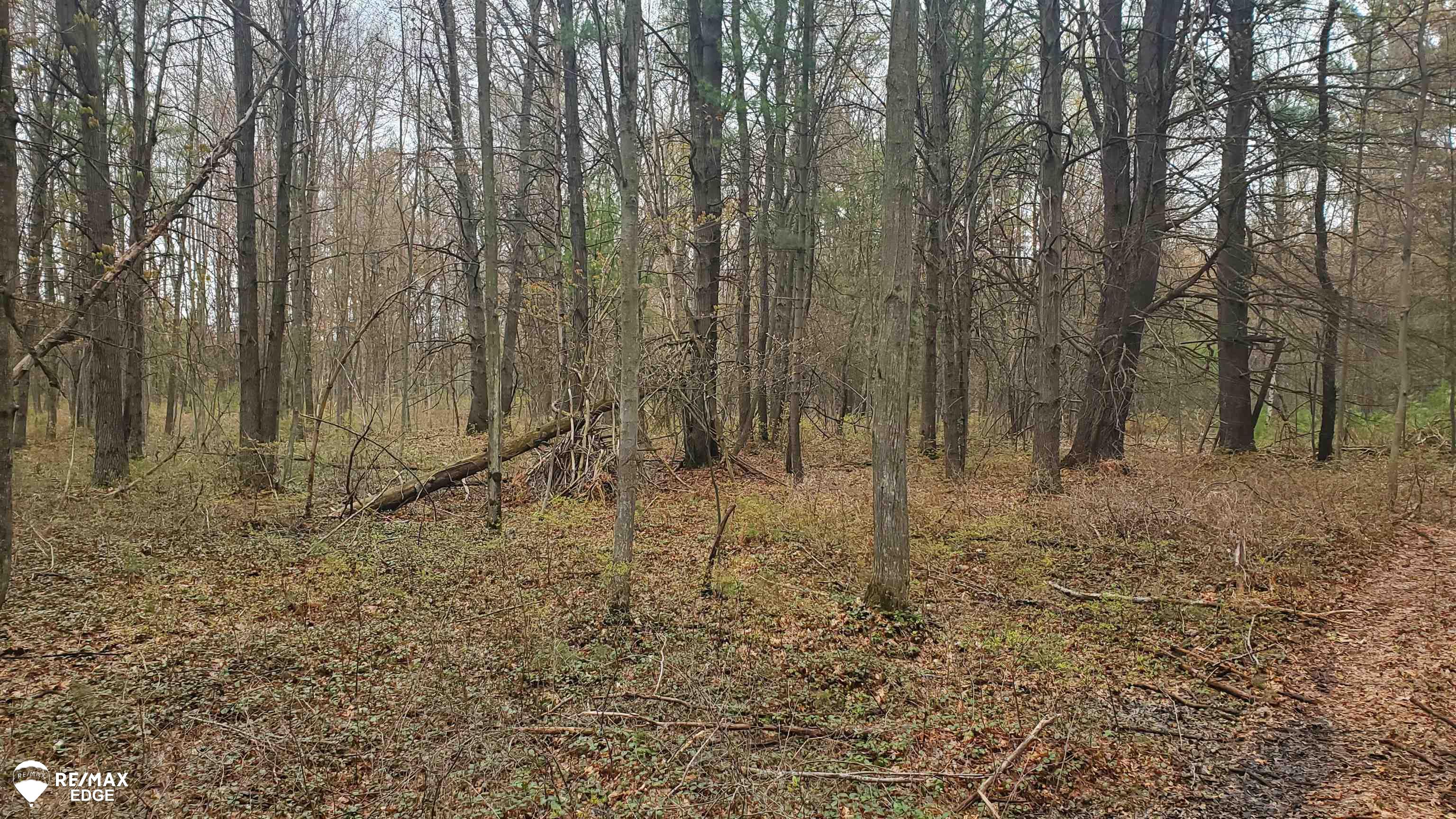 1371 West Wackerly Road Sanford, MI 48657 - Photo 13 of 33 Gallery Image 13
