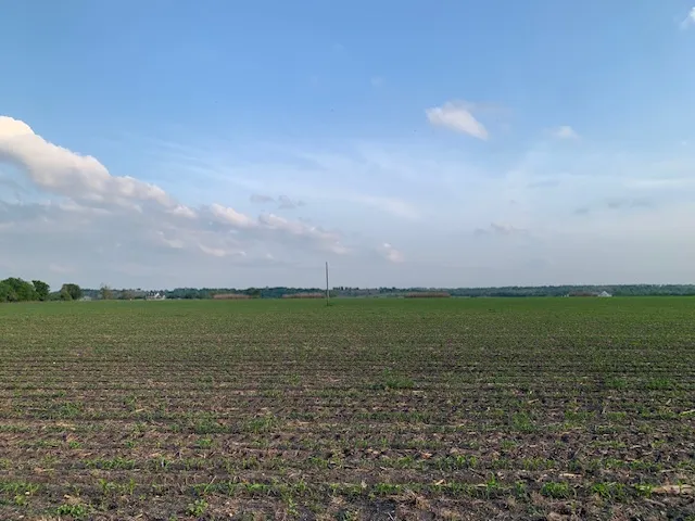 a view of a big yard and mountain in the background