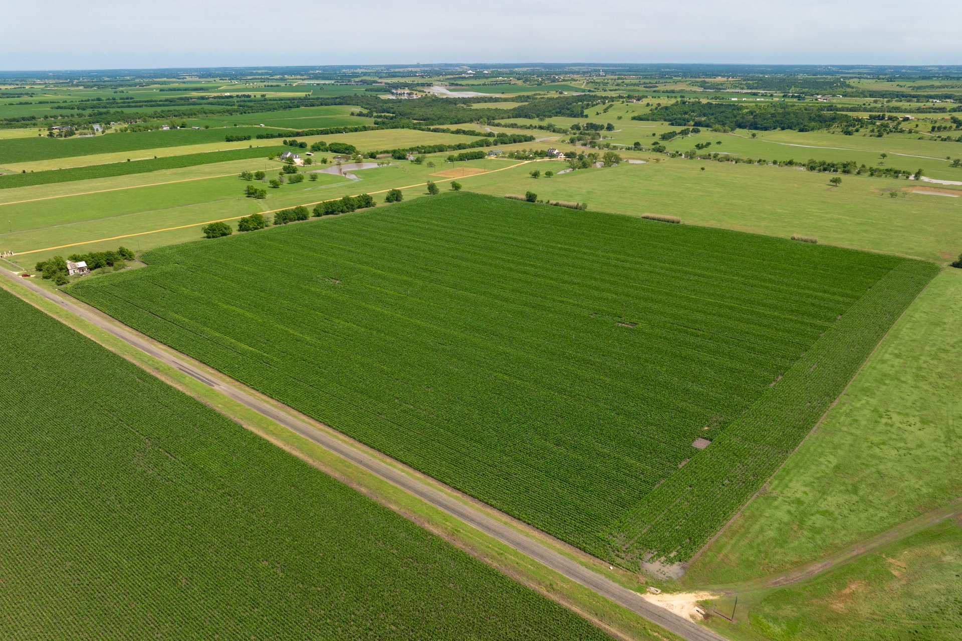 3 County Road 425 Thorndale, TX 76577 - Photo 12 of 27 a view of an ocean from a balcony