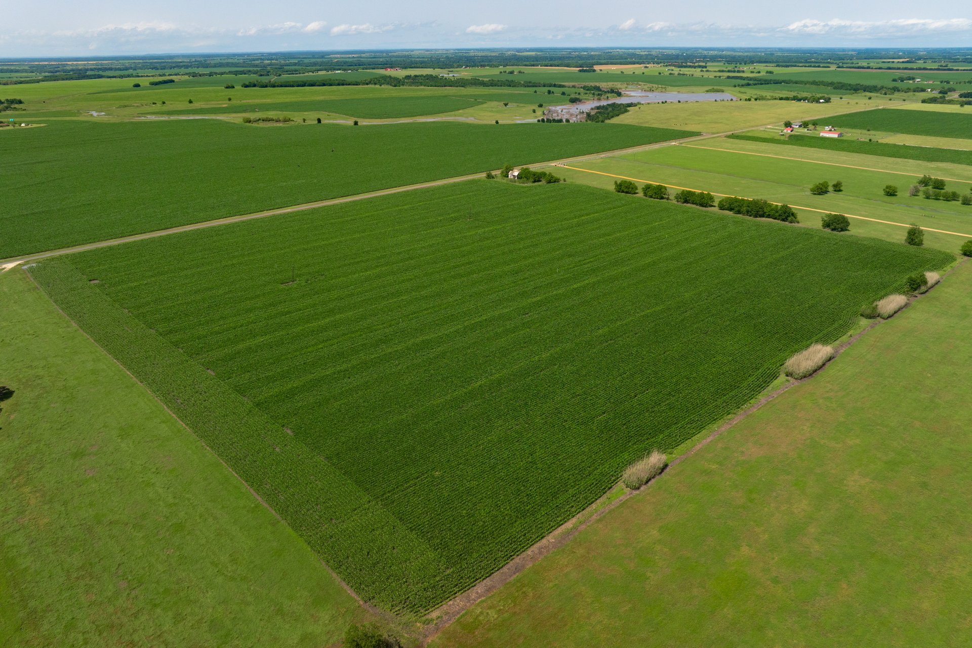 3 County Road 425 Thorndale, TX 76577 - Photo 16 of 27 a view of a field with an outdoor space