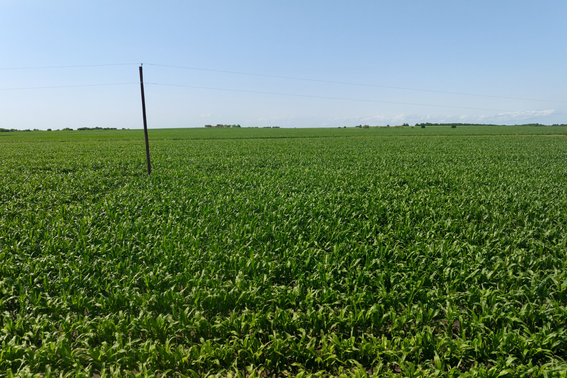 3 County Road 425 Thorndale, TX 76577 - Photo 17 of 27 a green field with lots of green space