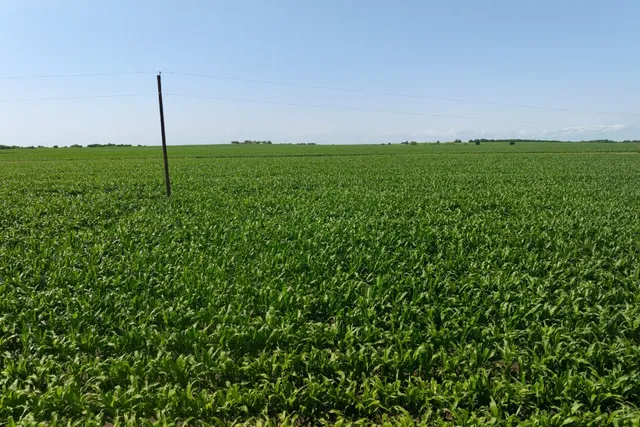 a view of an ocean view