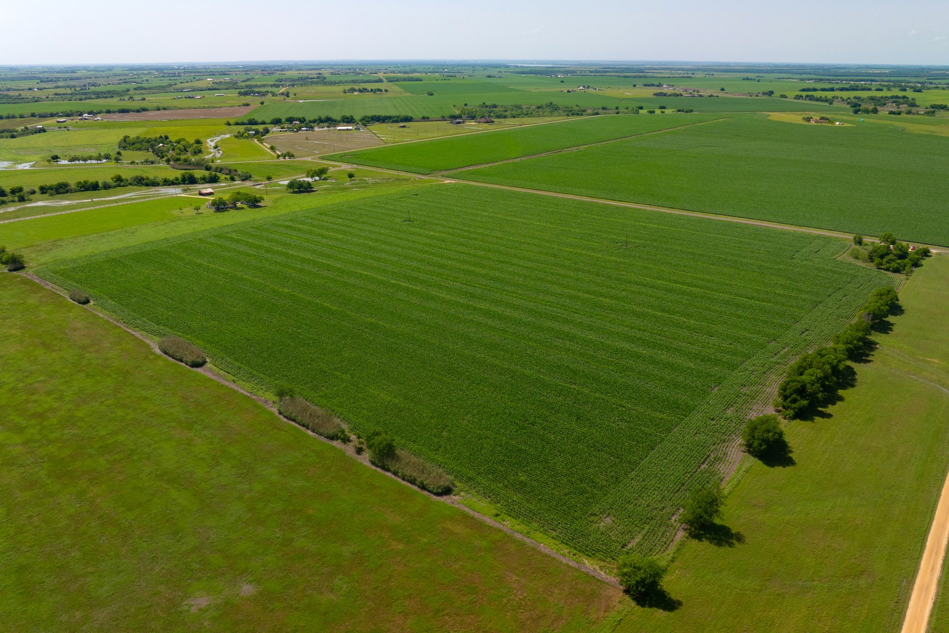 3 County Road 425 Thorndale, TX 76577 - Photo 18 of 27 a view of a field with an ocean