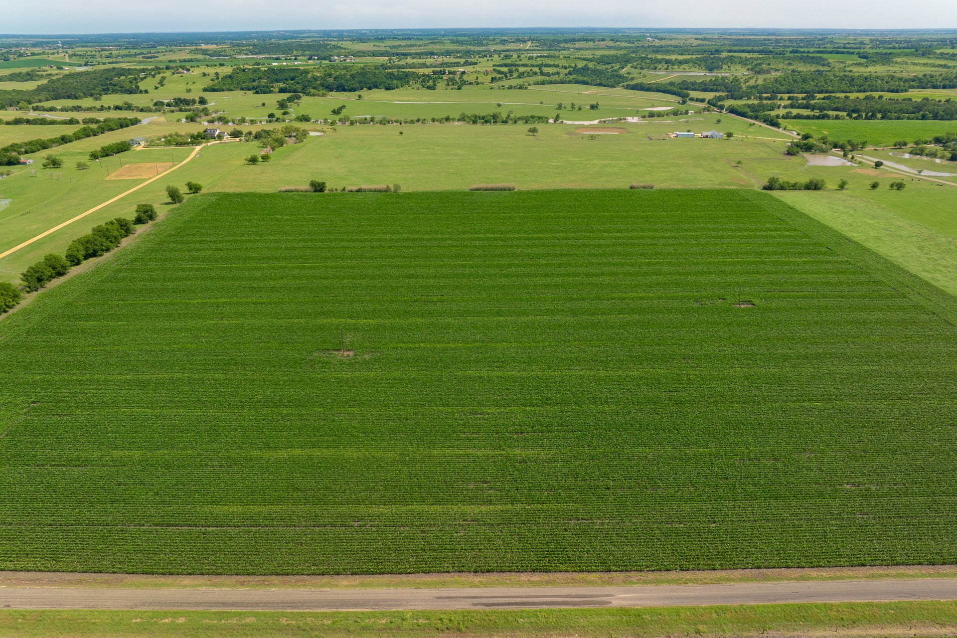 3 County Road 425 Thorndale, TX 76577 - Photo 21 of 27 a view of a lake with a houses