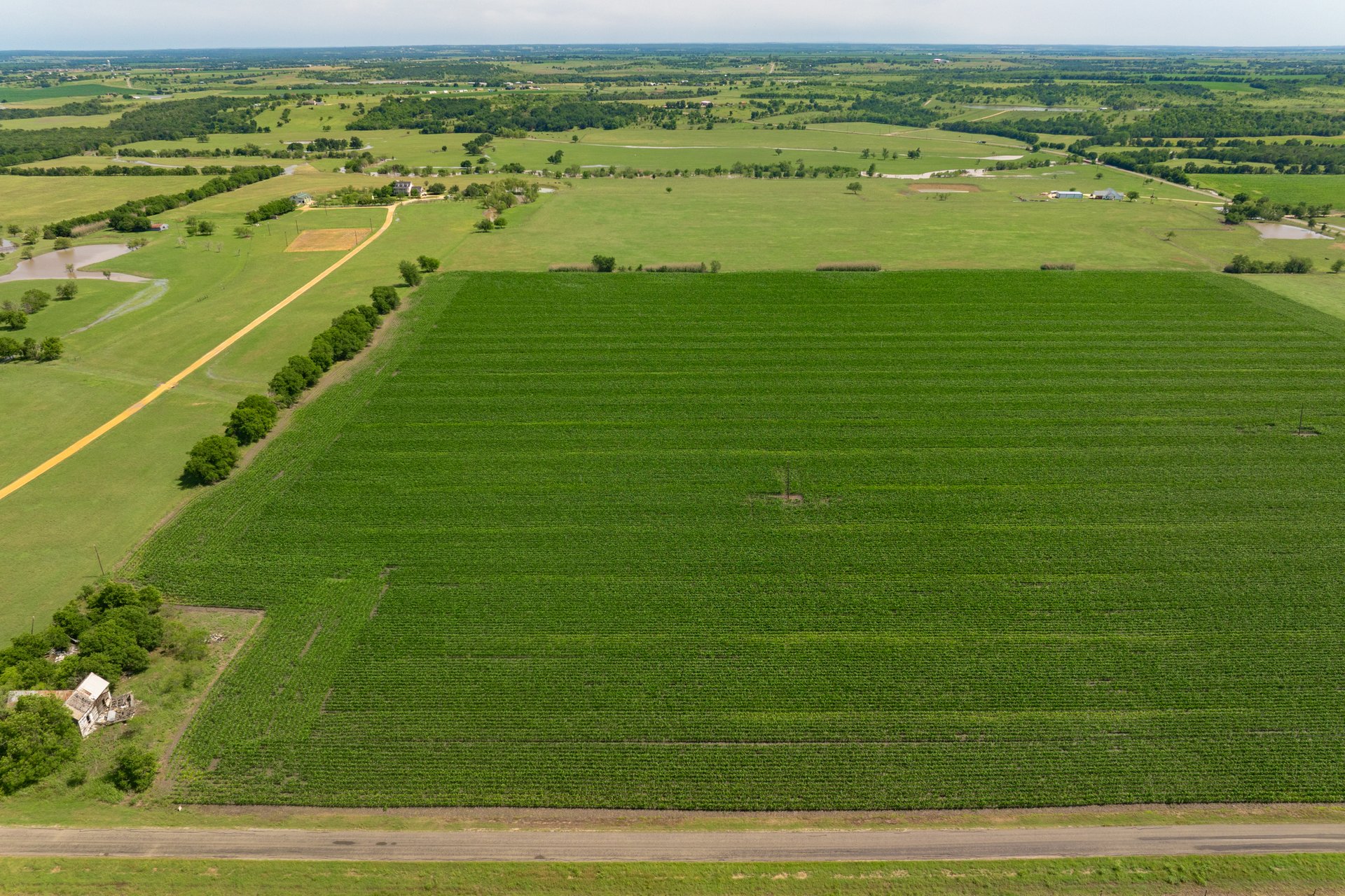 3 County Road 425 Thorndale, TX 76577 - Photo 22 of 27 a view of an ocean view