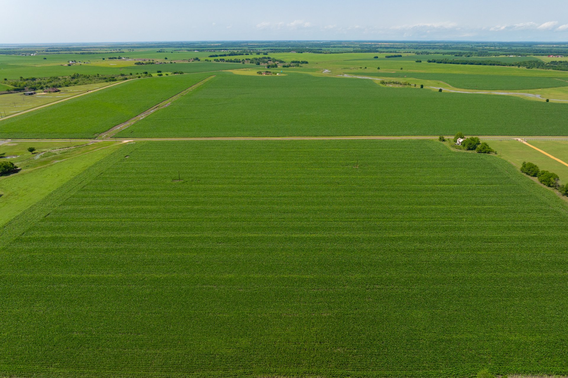 3 County Road 425 Thorndale, TX 76577 - Photo 24 of 27 a view of a green field