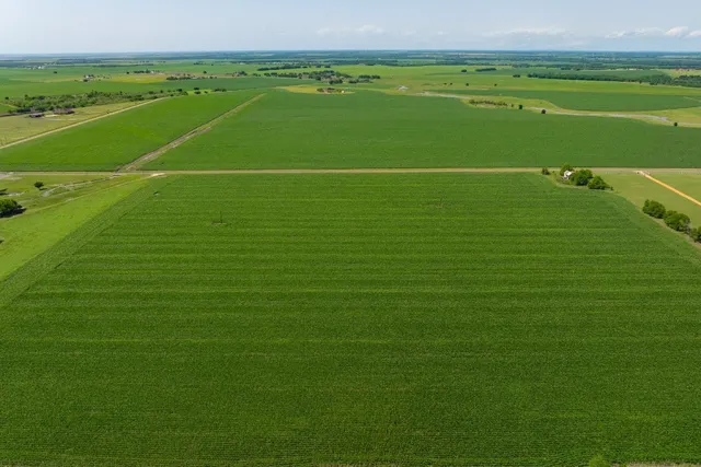 a view of a field with clear sky