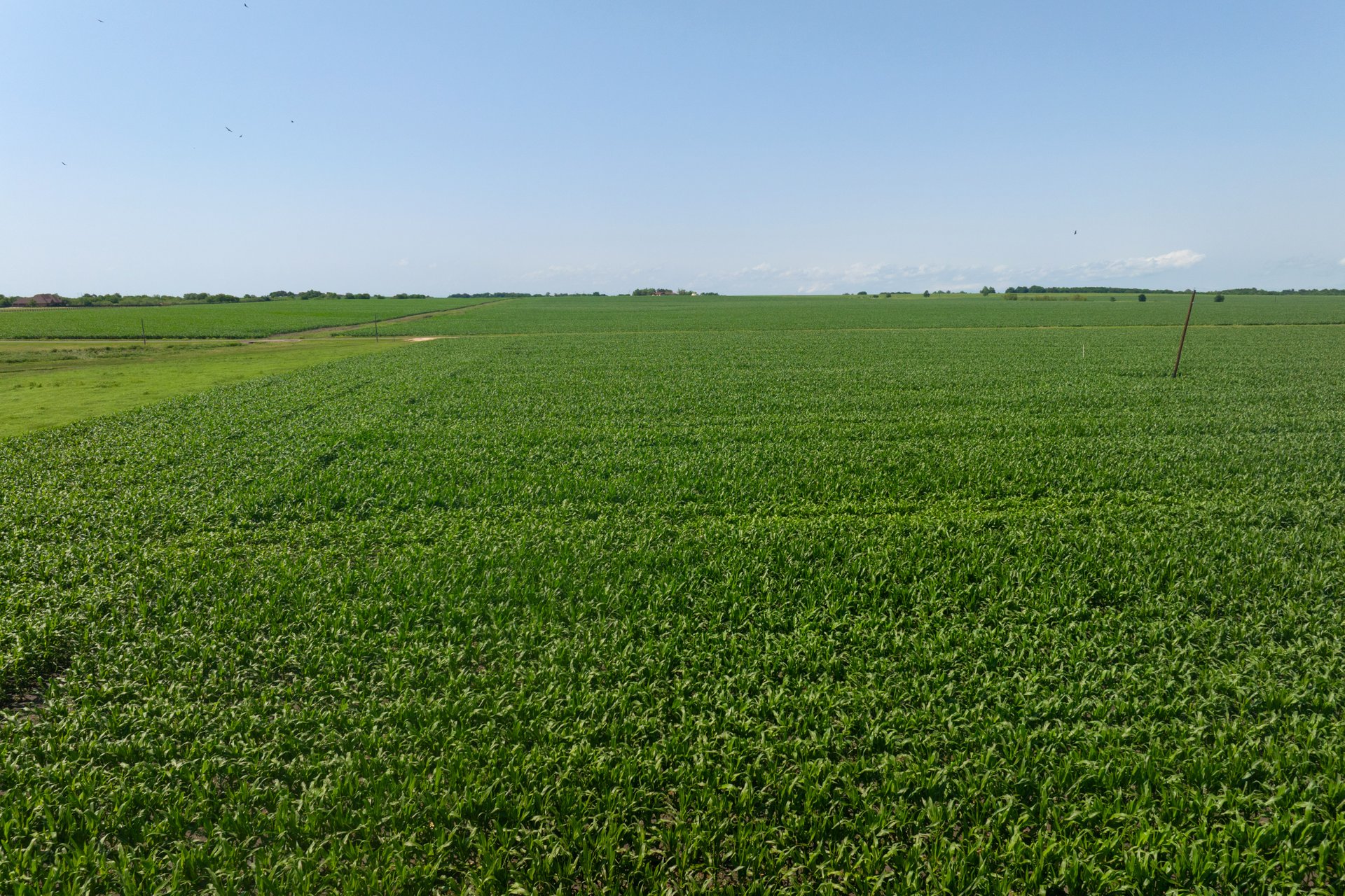 3 County Road 425 Thorndale, TX 76577 - Photo 26 of 27 a view of a field with clear sky