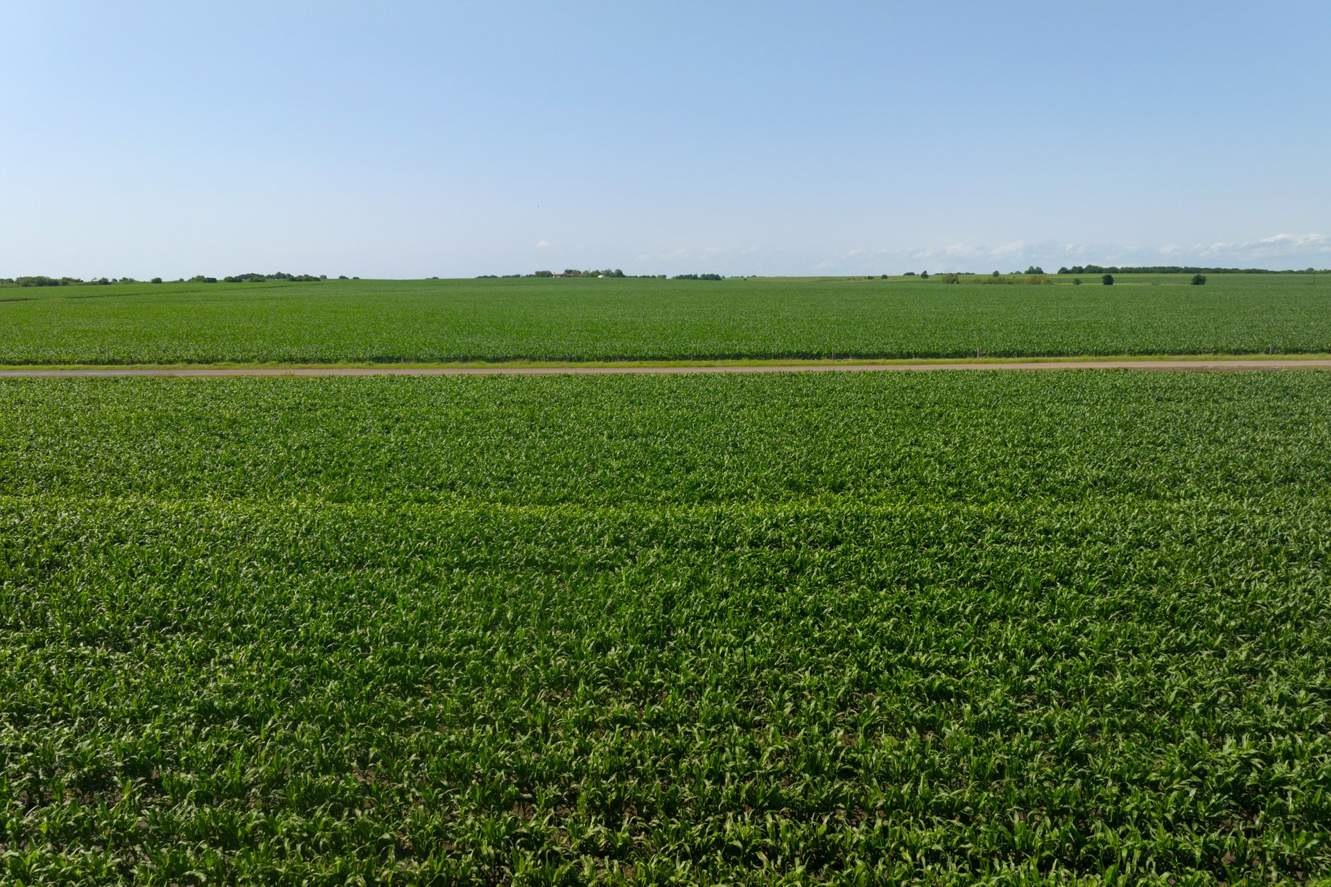 3 County Road 425 Thorndale, TX 76577 - Photo 27 of 27 a view of a green field with clear sky