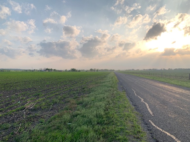 3 County Road 425 Thorndale, TX 76577 - Photo 6 of 27 a view of a big yard with lots of green space