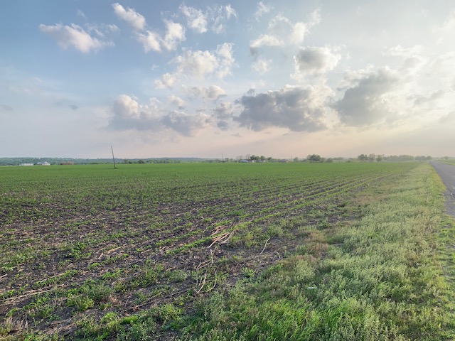 3 County Road 425 Thorndale, TX 76577 - Photo 7 of 27 a view of a big yard with lots of green space