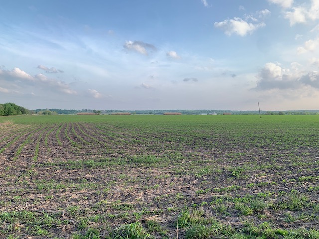 3 County Road 425 Thorndale, TX 76577 - Photo 8 of 27 a view of a big yard
