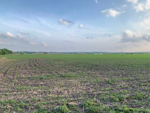 a view of a lake with houses in the back