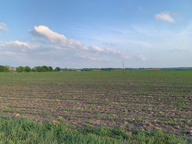 3 County Road 425 Thorndale, TX 76577 - Photo 9 of 27 a view of a lake with houses in the back