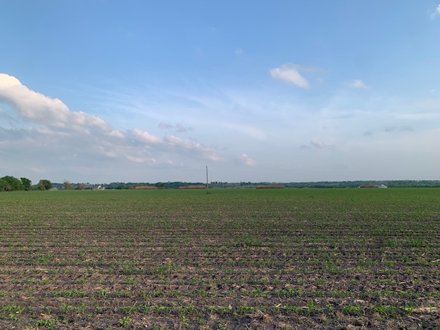 3 County Road 425 Thorndale, TX 76577 - Photo 10 of 27 a view of an ocean and beach