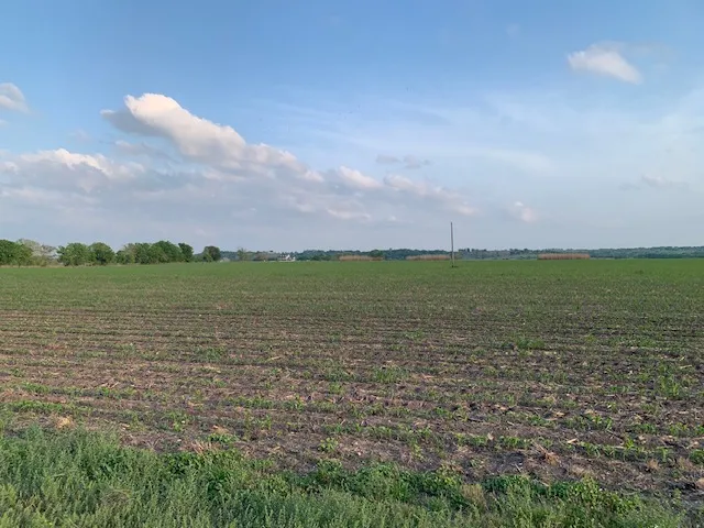 a view of an ocean and beach