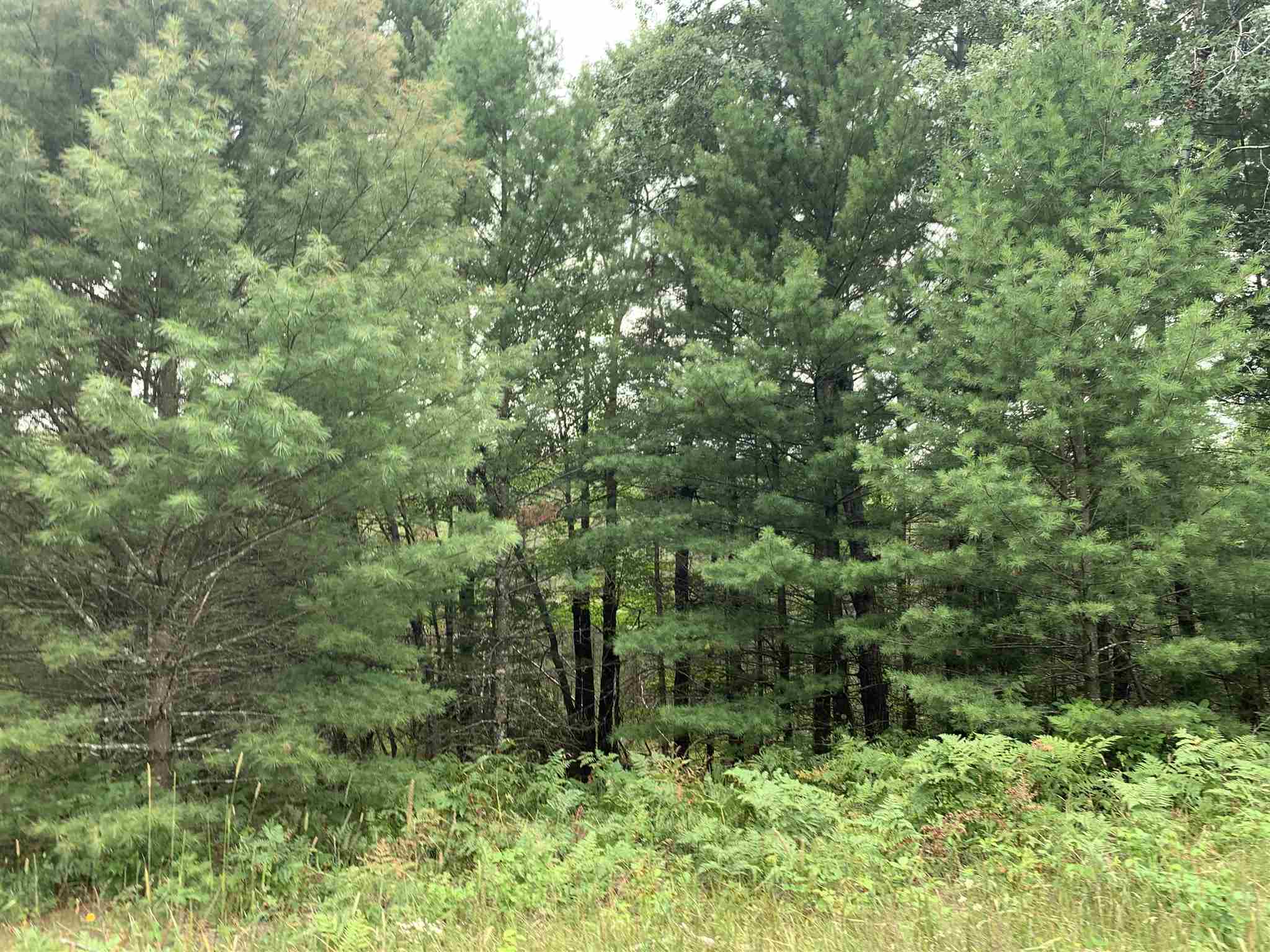 178375 Mission Lake Road Eland, WI 54427 - Photo 6 of 21