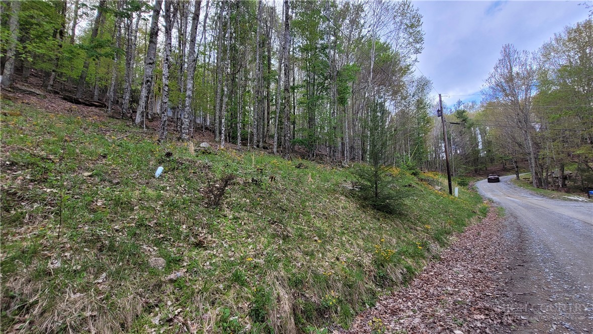241 Lakeledge Road Beech Mountain, NC 28604 - Photo 8 of 21 a view of a forest with trees