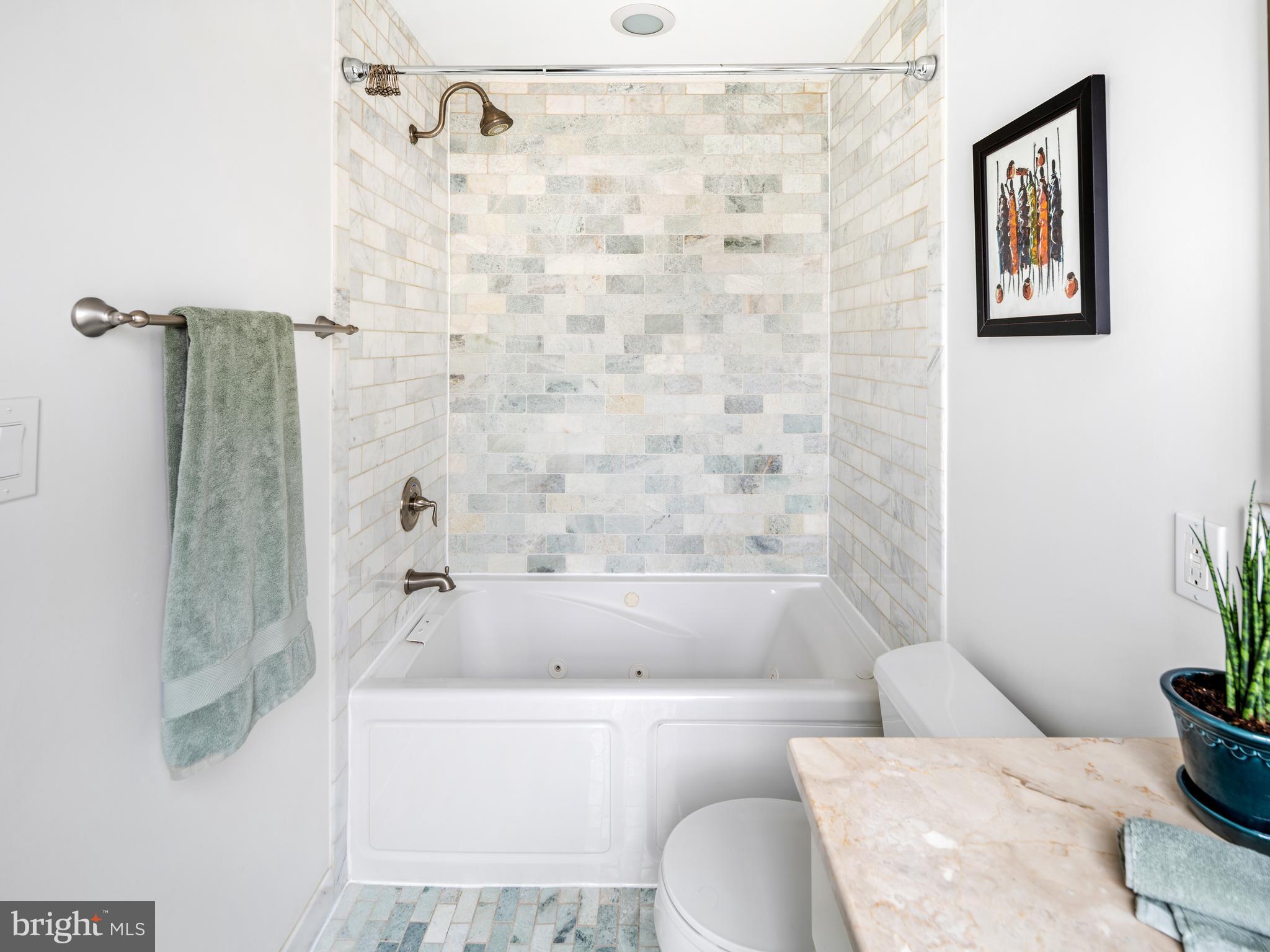 527 10th Street Southeast Washington, DC 20003 - Photo 40 of 64 Full Bath