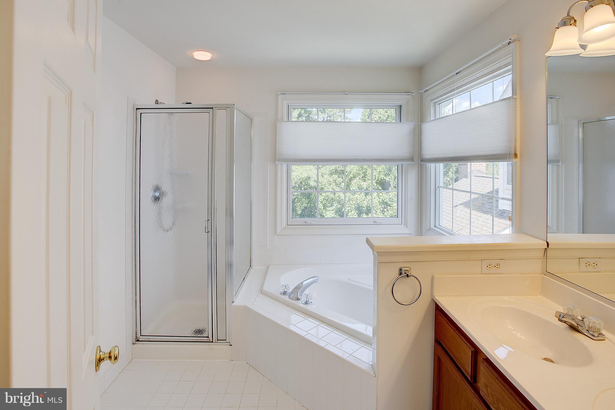 42874 Redfield Street Ashburn, VA 20147 - Photo 12 of 23 Bath (Master)
