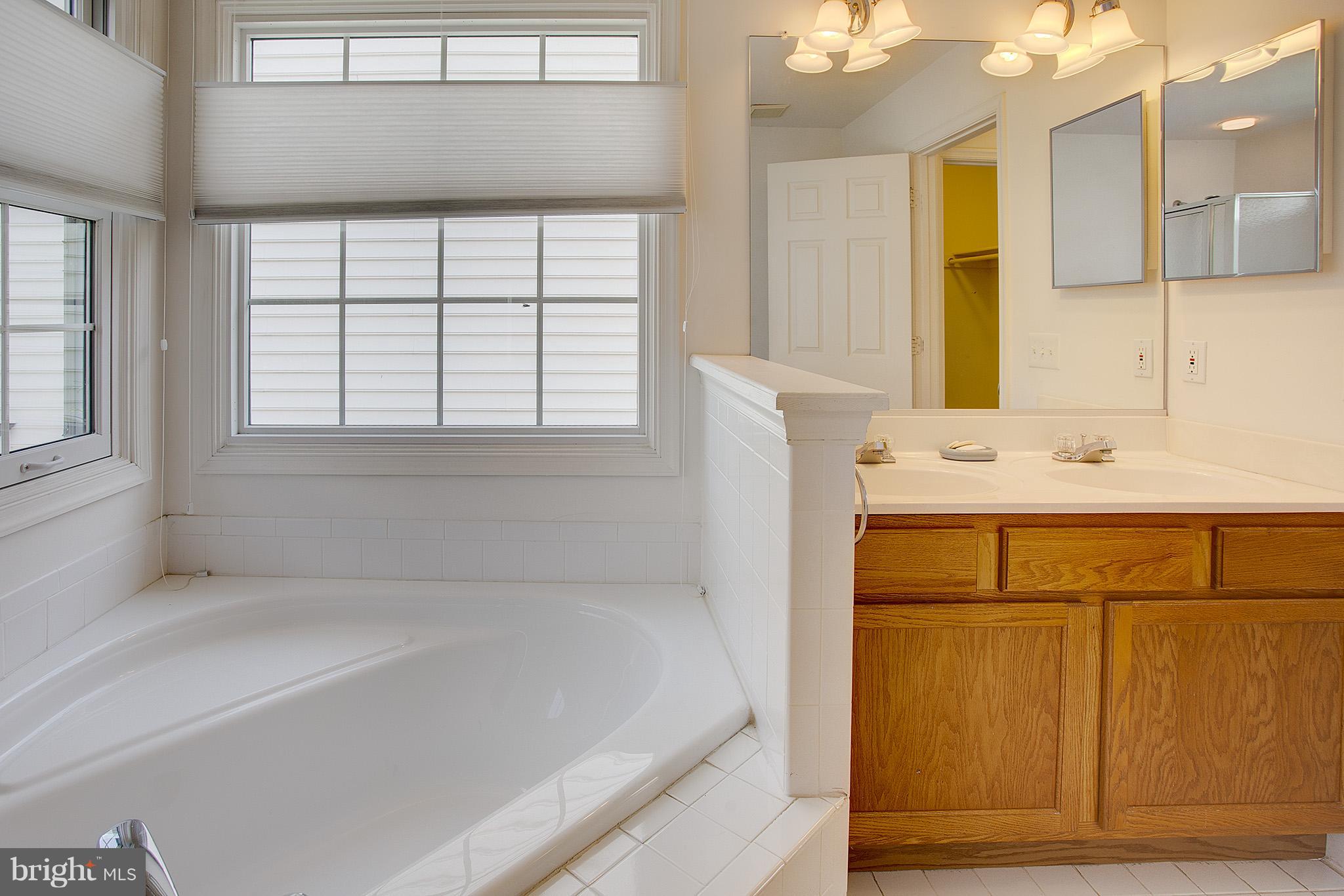 42874 Redfield Street Ashburn, VA 20147 - Photo 13 of 23 Bath (Master)