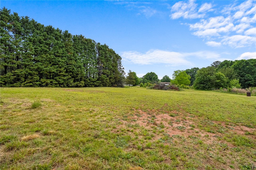 4508 Old Williamston Road Belton, SC 29627 - Photo 36 of 47 Expansive green fields meet a dense tree line under a vast blue sky.