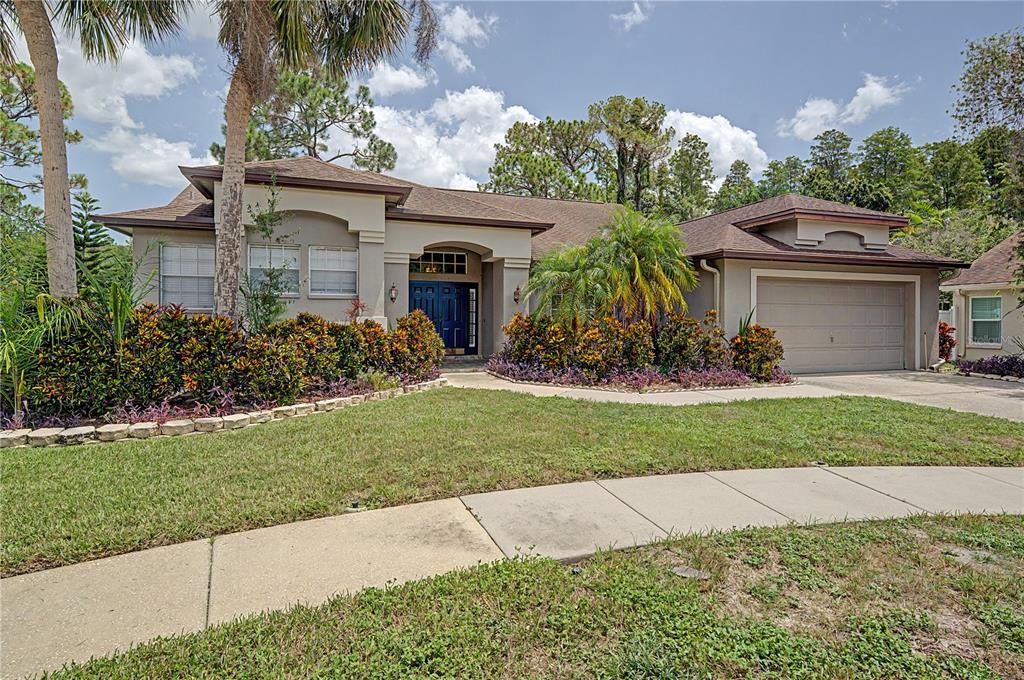 7201 Forestedge Court New Port Richey, FL 34655 - Photo 31 of 37