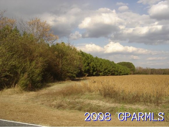 0 Gay Road Farmville, NC 27828 - Photo 1 of 1 Primary Photo
