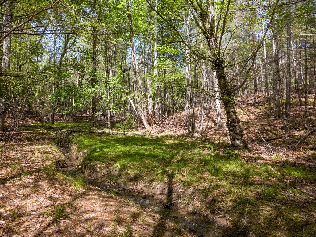 Lot 11 Ridge Line Trail, Unit 11 Independence, VA 24348 - Photo 21 of 40 Gallery Image 21