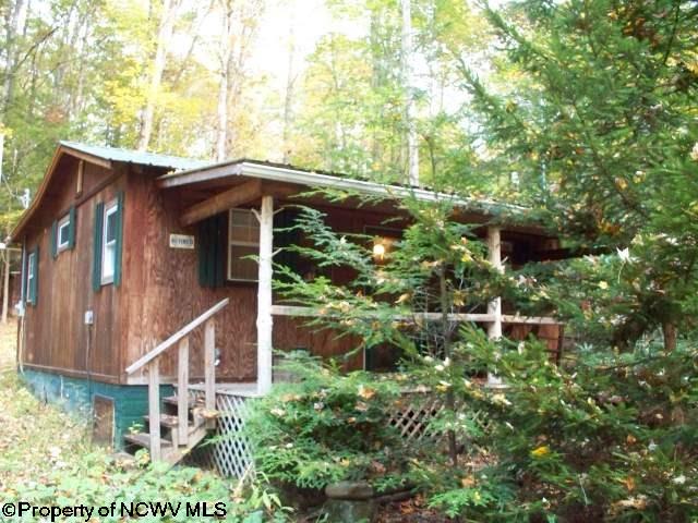 494 Wagon Wheel Road Huttonsville, WV 26273 - Photo 2 of 10 Gallery Image 2
