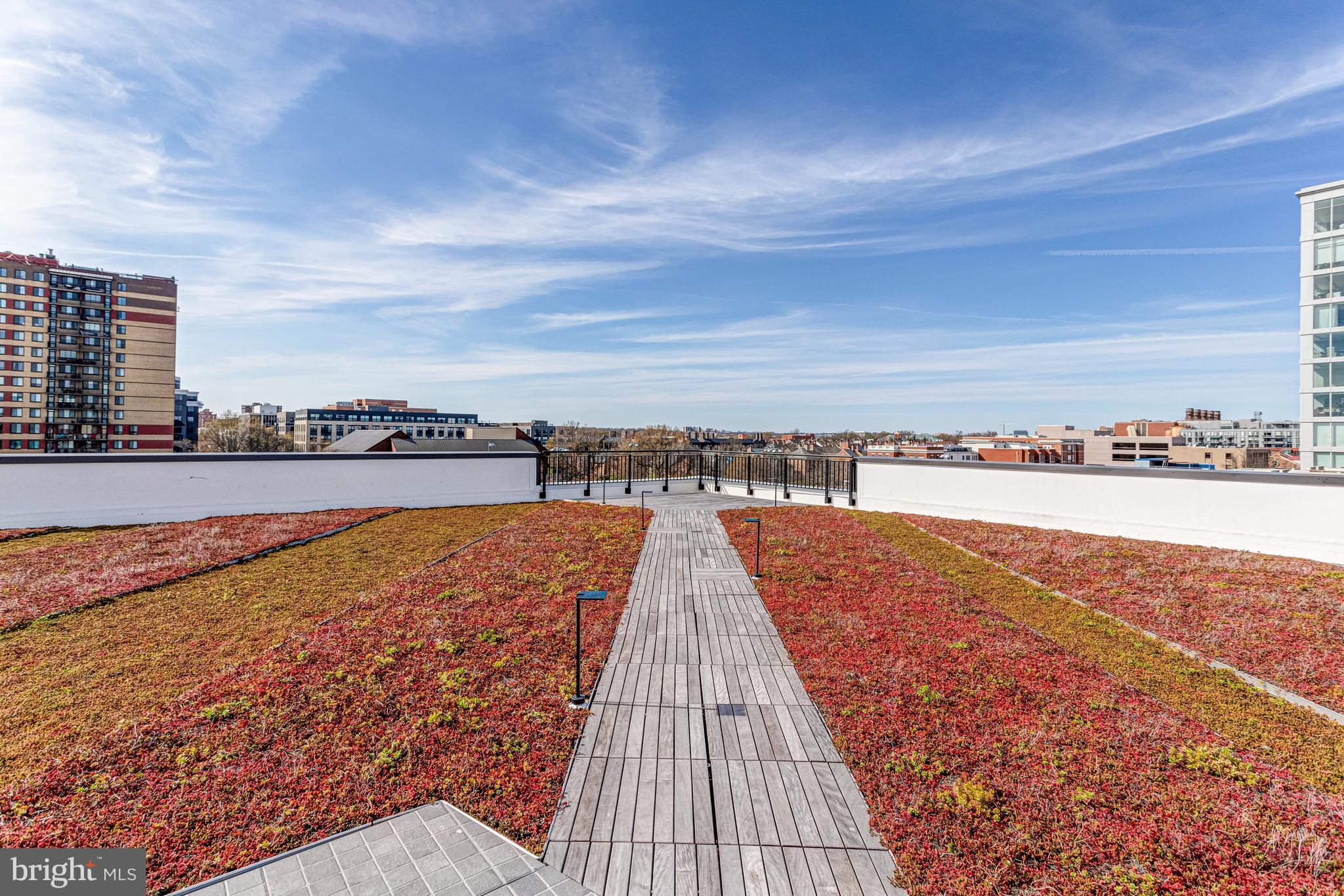 801 North Fairfax Street, Unit 314 Alexandria, VA 22314 - Photo 40 of 61 a view of swimming pool with outdoor seating and yard in the back