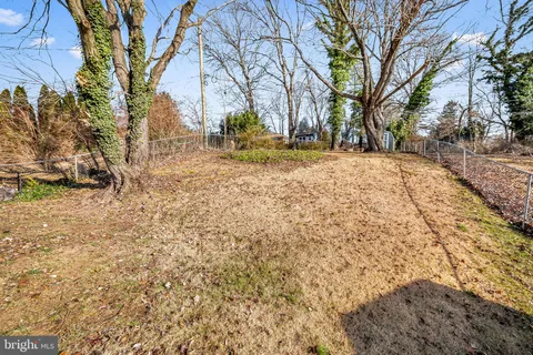 a view of a yard with plants and trees