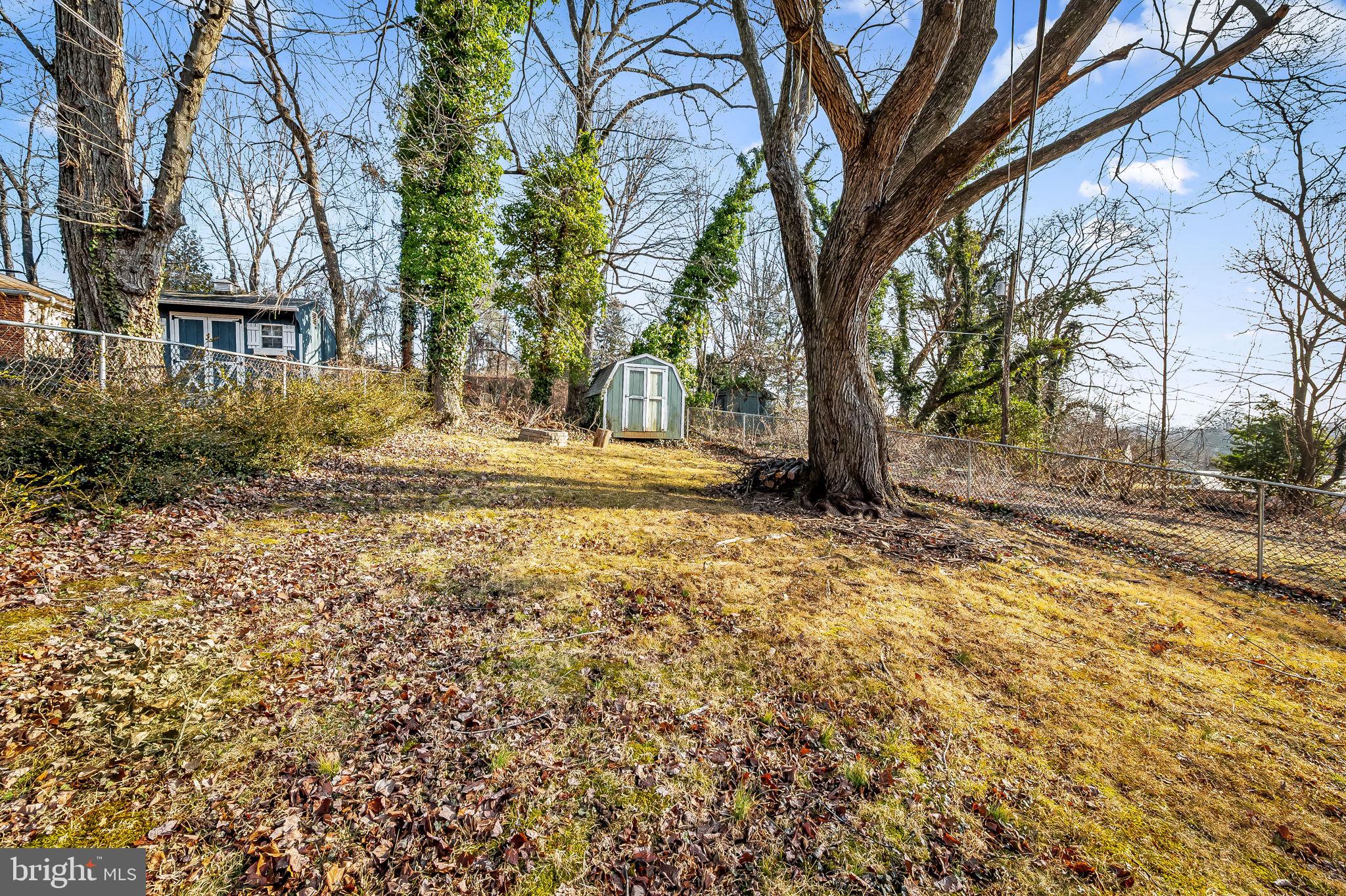6745 Glenkirk Road Baltimore, MD 21239 - Photo 31 of 35 a view of a yard with plants and trees